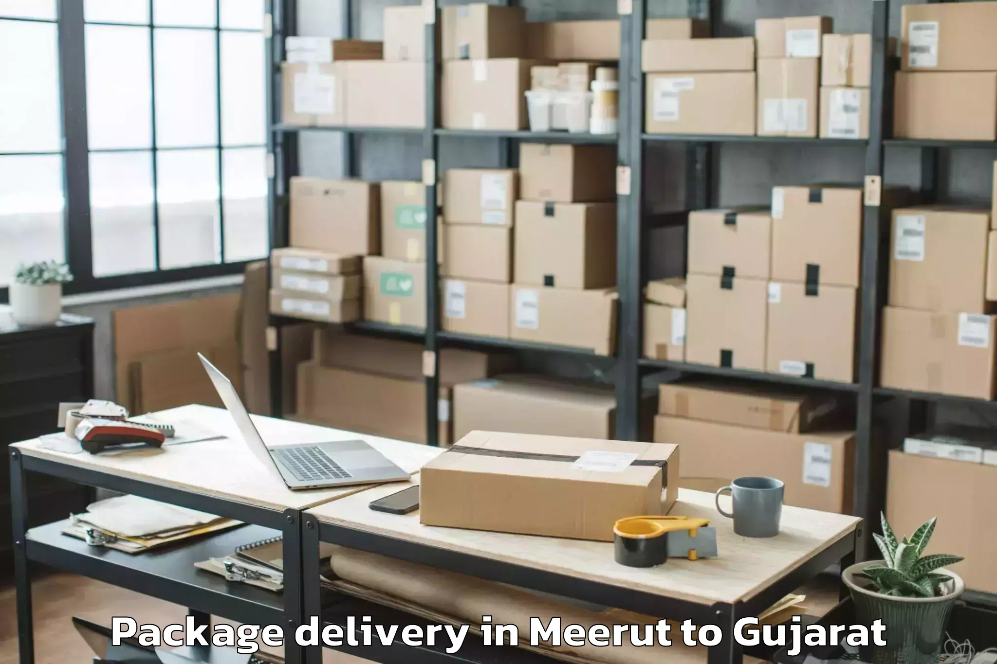 Meerut to Kamdhenu University Gandhinaga Package Delivery Booking